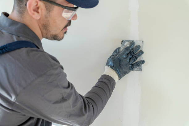 Best Drywall Sanding and Smoothing  in Trucksville, PA